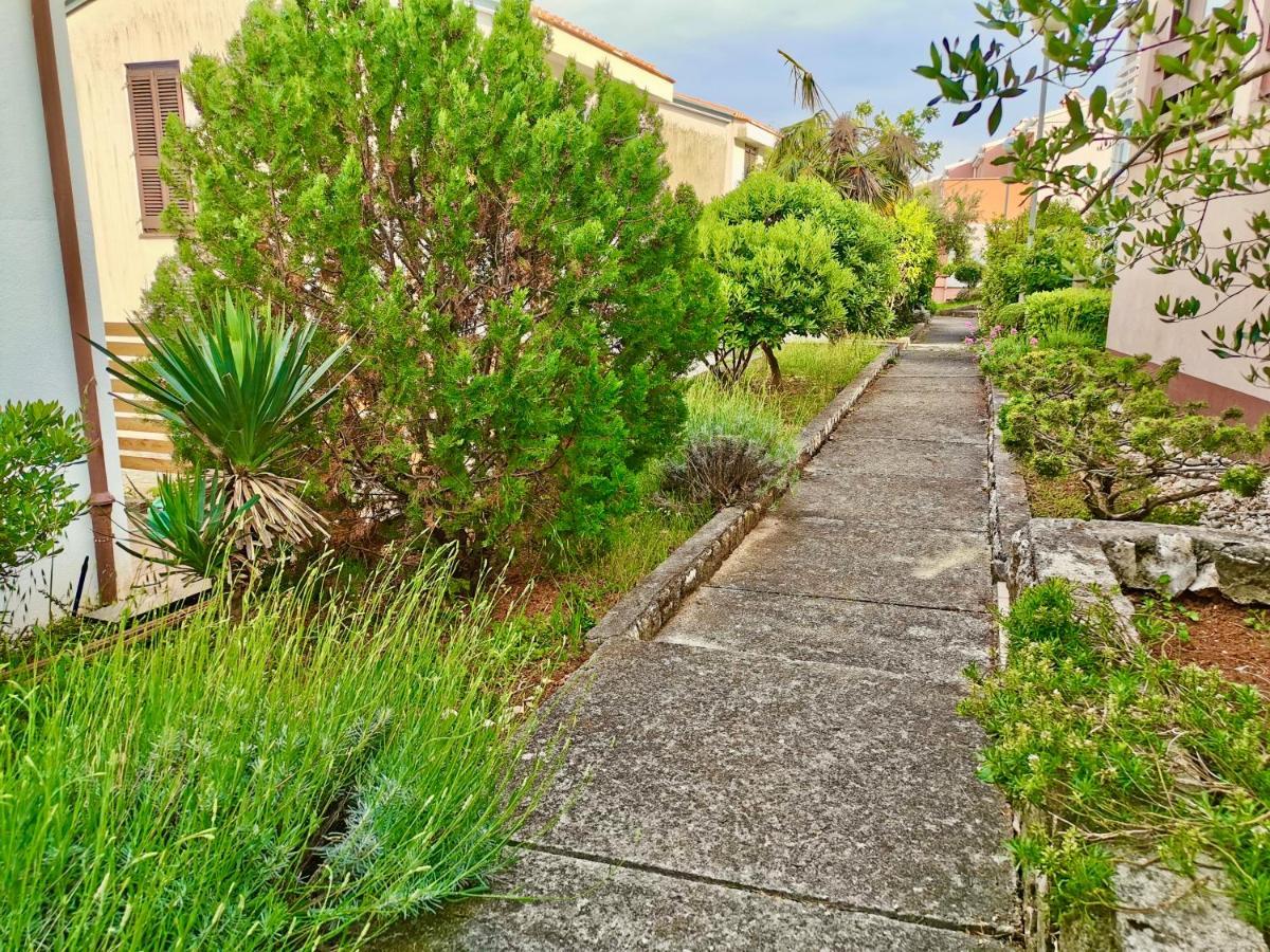 Lavandula 拉宾 外观 照片